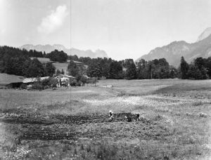 gc   kitzingen germany 1945   ng353c